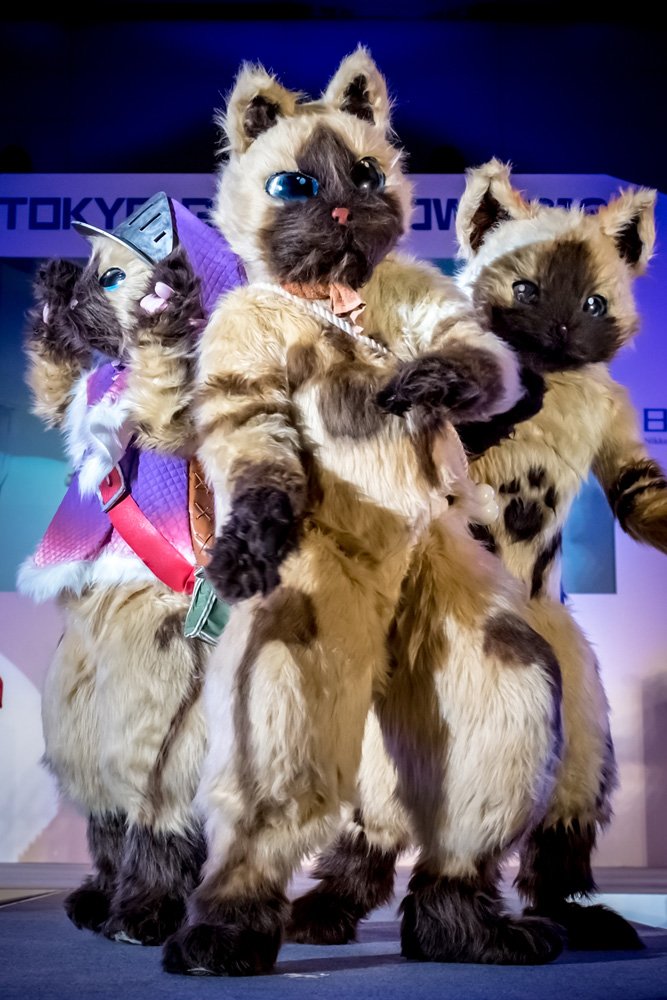 CAPCOM_MH's tweet photo. 🐈3匹のアイルー🐈
左:あやめ
中:山葵さん(@wwwwwwww8 )
右:いちさん(@iiiiiiii1ichi )
撮影:マックス・ガイア様(@MaxGaia3 )
#MHXX #MHX #モンハン #MHXXNS #モンハン造形部
#CCN2016 #TGS2016 https://t.co/6JXpGvW8tA
