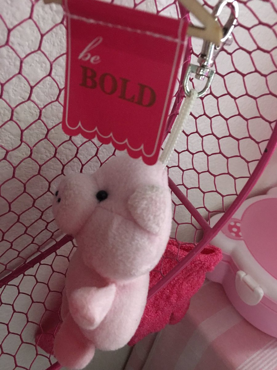 kattia_arrascue's tweet photo. #piggy #pink #theladyinpink #katonita #pinklover #pinkandmore @kattia_arrascue @plannersandpink #bebold πππππ¬πΈπβ€οΈπ https://t.co/WgnACACpga