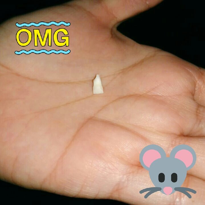 chivisgarcia's tweet photo. ¡Que emoción! Hoy por primera vez haré el papel del ratón de los dientes. #dientedeleche https://t.co/QZid2VTwVm