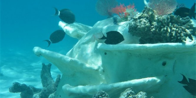 MATC_by_Citynox's tweet photo. Hérault : des récifs artificiels pour réconcilier tourisme et écologie https://t.co/nhlTBHcPC7 in @Midilibre par @Morgane_Ma_ #MobiReef https://t.co/Sab2mEhixt
