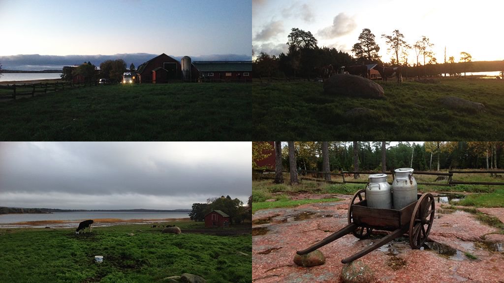 pirkkatuotteet's tweet photo. Saimme terveiset kuvauksista Ahvenanmaalta! 🐄 #pirkkaparhaat #aito #alkuperäinen #Ålandsmejeriet #comingsoon https://t.co/nfkZknx5bf