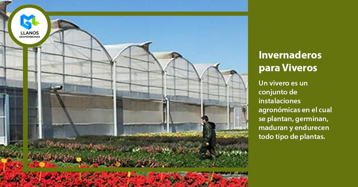 GeomembranasLL's tweet image. Un vivero es un conjunto de instalaciones agronómicas en el cual se plantan, germinan, maduran y endurecen todo tipo de plantas.
