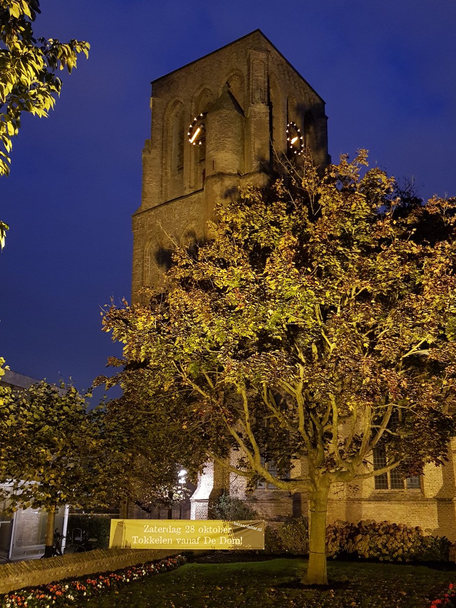 Bazaar De Lier tweet media