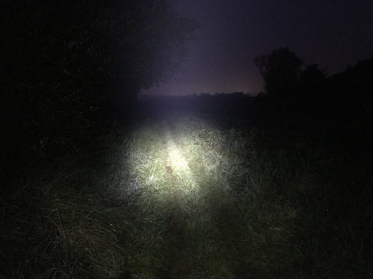 David Boothby tweet media