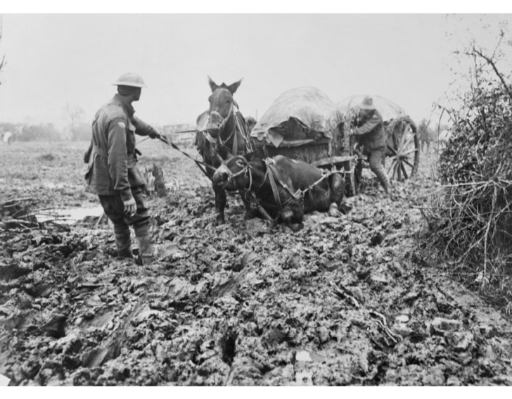 CenturyAgoToday's tweet photo. Horses struggling to pull supplies through the mud of Ypres: © IWM (E(AUS) 963) https://t.co/dQMnvyAqGS