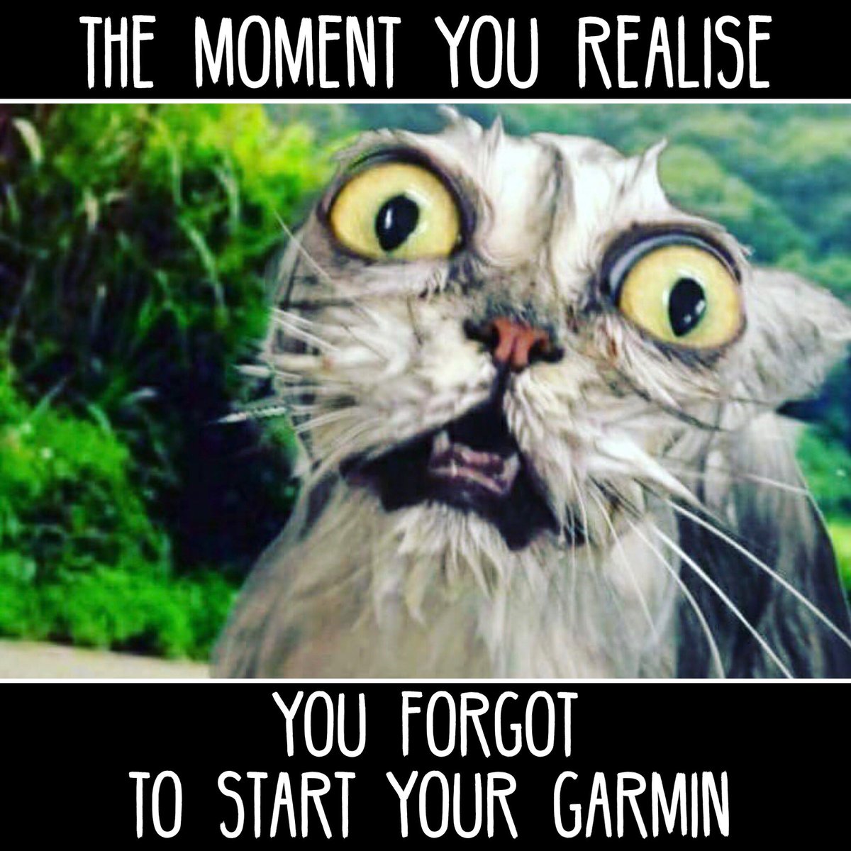 deft_football's tweet photo. Does the run even count if you didn’t start your garmin?! 🤔 #vrunner #ukrunchat #runchat #parkrun #c25k https://t.co/DX4ZyVaBKV