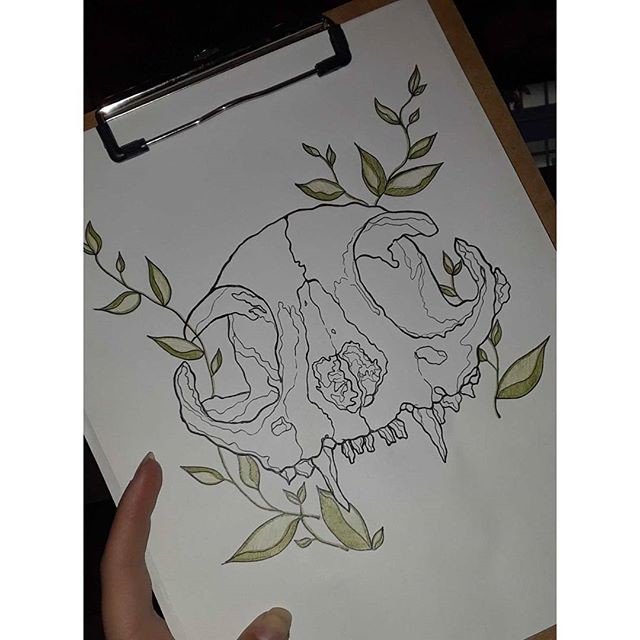 #arts #artist #artwork #skull #animalskull #bones #micronpen #drawing #kitten #cat #meow #kitty #sketching #catskull