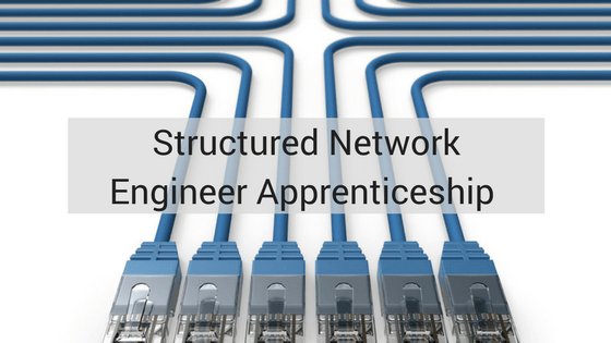 VQ TRAINING tweet media