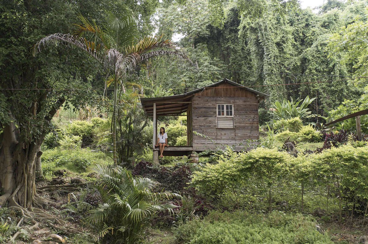 andurriante's tweet photo. Te vienes a descubrir Jamaica? Guia de viaje para viajar al paraíso una semana 👉🏼 https://t.co/pRXGRsuvR3 #vacacionesblogger2 #equipob https://t.co/kYJZiW2AmM