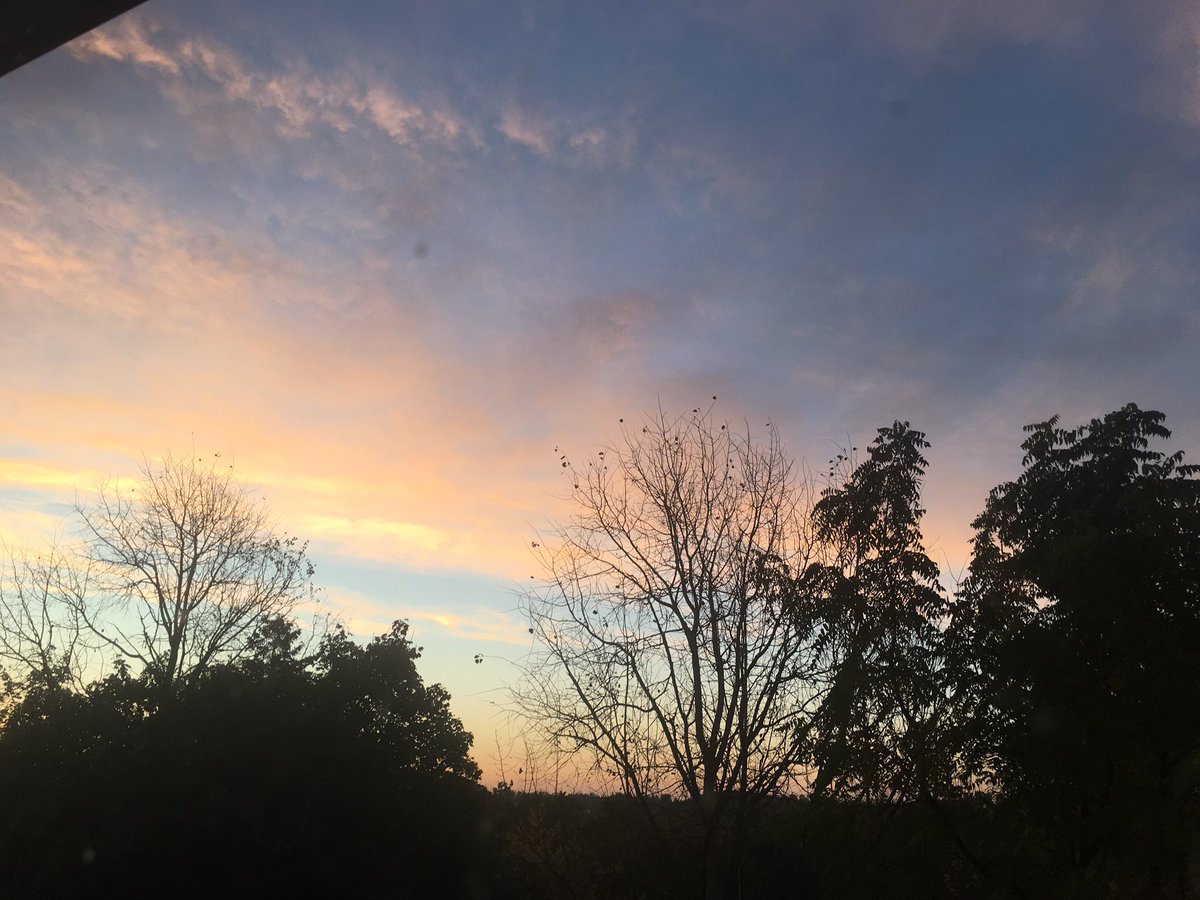 Leif_Life_Laugh's tweet photo. Looking fine this morning #ptbo https://t.co/ytVgFaDOSx