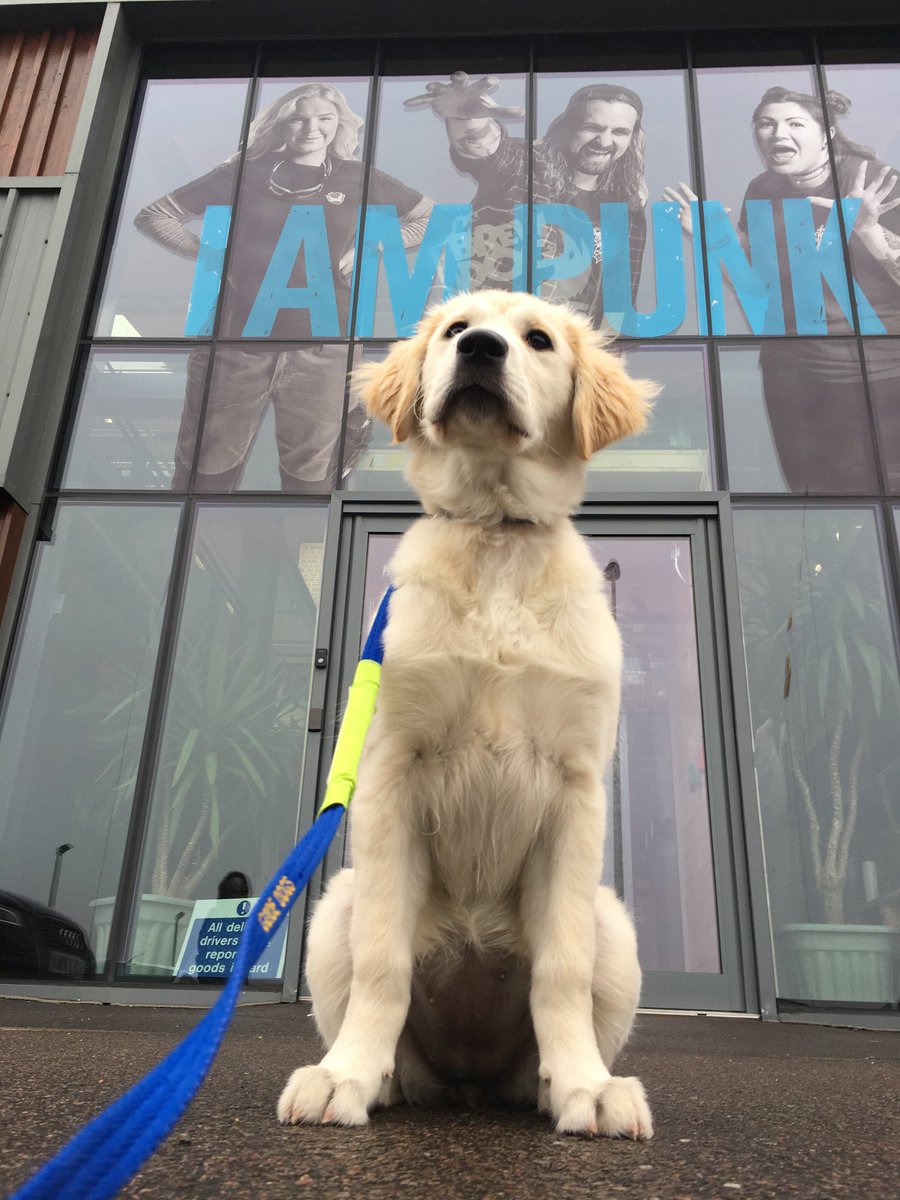 jellybeanjimi's tweet photo. @BrewDog thanks for all the loving today,hugs and kisses Dory https://t.co/pxHuHQRHY8