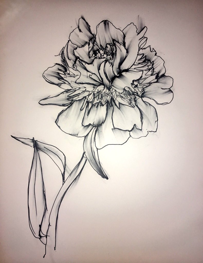 zim2918's tweet photo. Peony https://t.co/PIPxAwQAoC