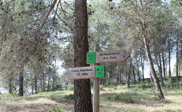 TurismoCoin's tweet photo. @DiarioSUR recomienda realizar la ruta de senderismo Nacimiento-Mirador de Cerro Alaminos (SL-A-59) #CoínTeEspera
https://t.co/5gNefHaiGv https://t.co/wBQGSW5WQ8