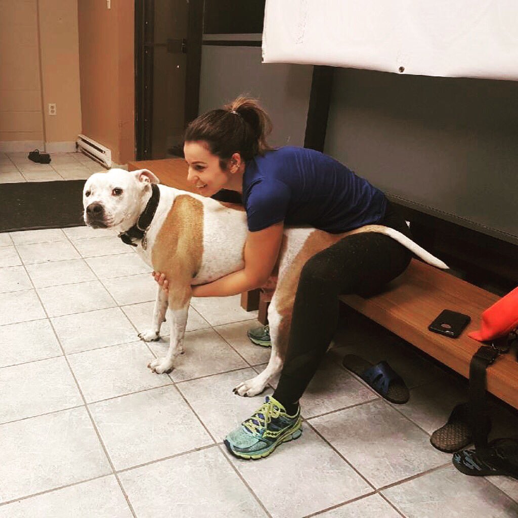 AnaAlmeida1985's tweet photo. My morning so far has consisted of snuggles with Diesel and lifting weights!! Thanks @RyanManimal! #manimaltraining https://t.co/k88FxFcNFA