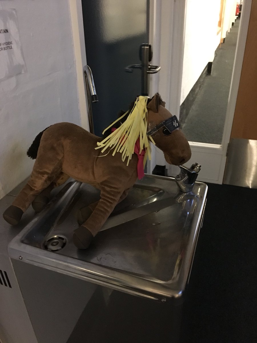 DorianNeigh's tweet photo. Rehydrating after the sugar overload! https://t.co/X5d6fEEvYc
