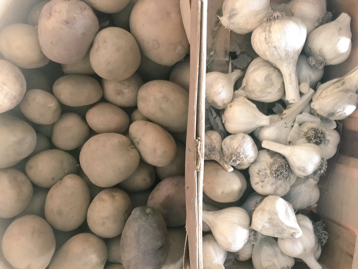 Did you buy your locally grown potatoes &amp; garlic 4 the winter? Shop the <a href="/BioDomeProject/">BioDome Project</a> this harvest season! #PineSt #JamestownNY #CHQ #WNY