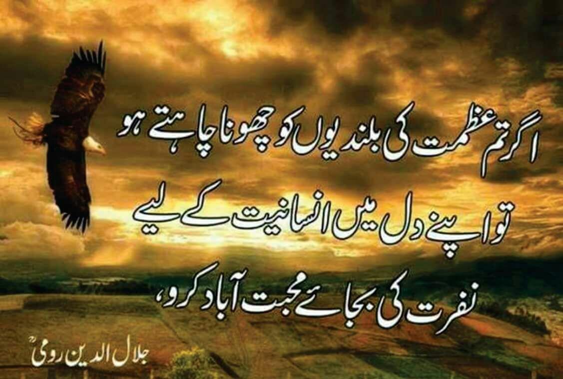 Amber_abid786's tweet photo. #KhudiNaBaich https://t.co/OgnVNQrOBA