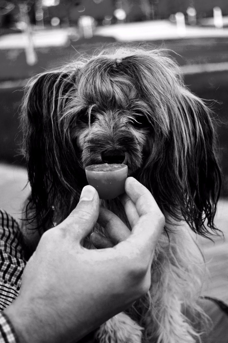 Оксана tweet media