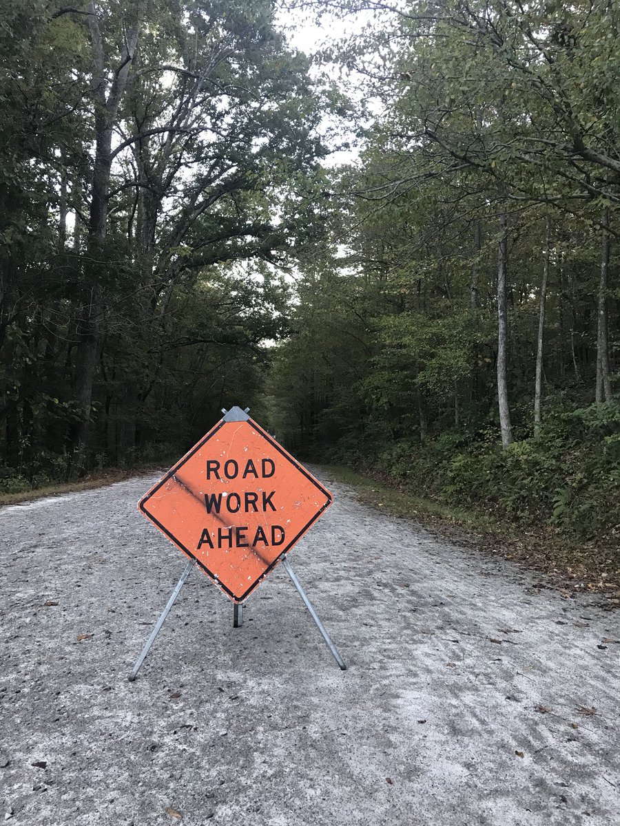 TrustyGOPC's tweet photo. Hope your morning commute is just as scenic! #Umstead #RDUForest #publiclands @OIA #saveourtrails https://t.co/c8rTFmyIg8