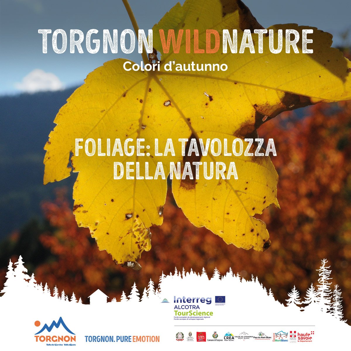 TorgnonTurismo's tweet photo. #22ottobre foliage, foto-trekking o escursione in e-bike a pedalata assistita? prenota subito, è gratis! https://t.co/KdxMAWTKmS #vda https://t.co/hL6U10ljX2
