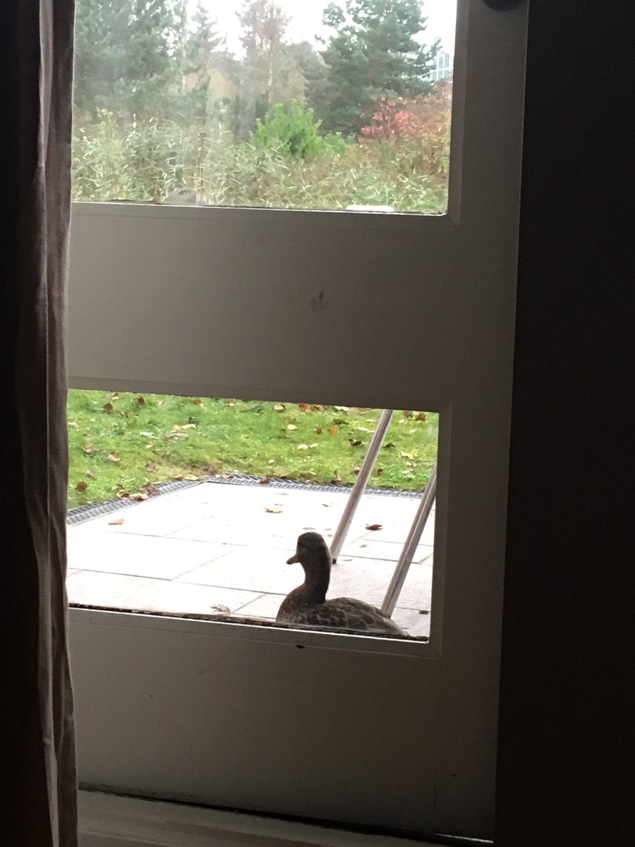 jenna_redpath's tweet photo. Early morning wake up call @CenterParcsUK https://t.co/4mRtSSSmi4