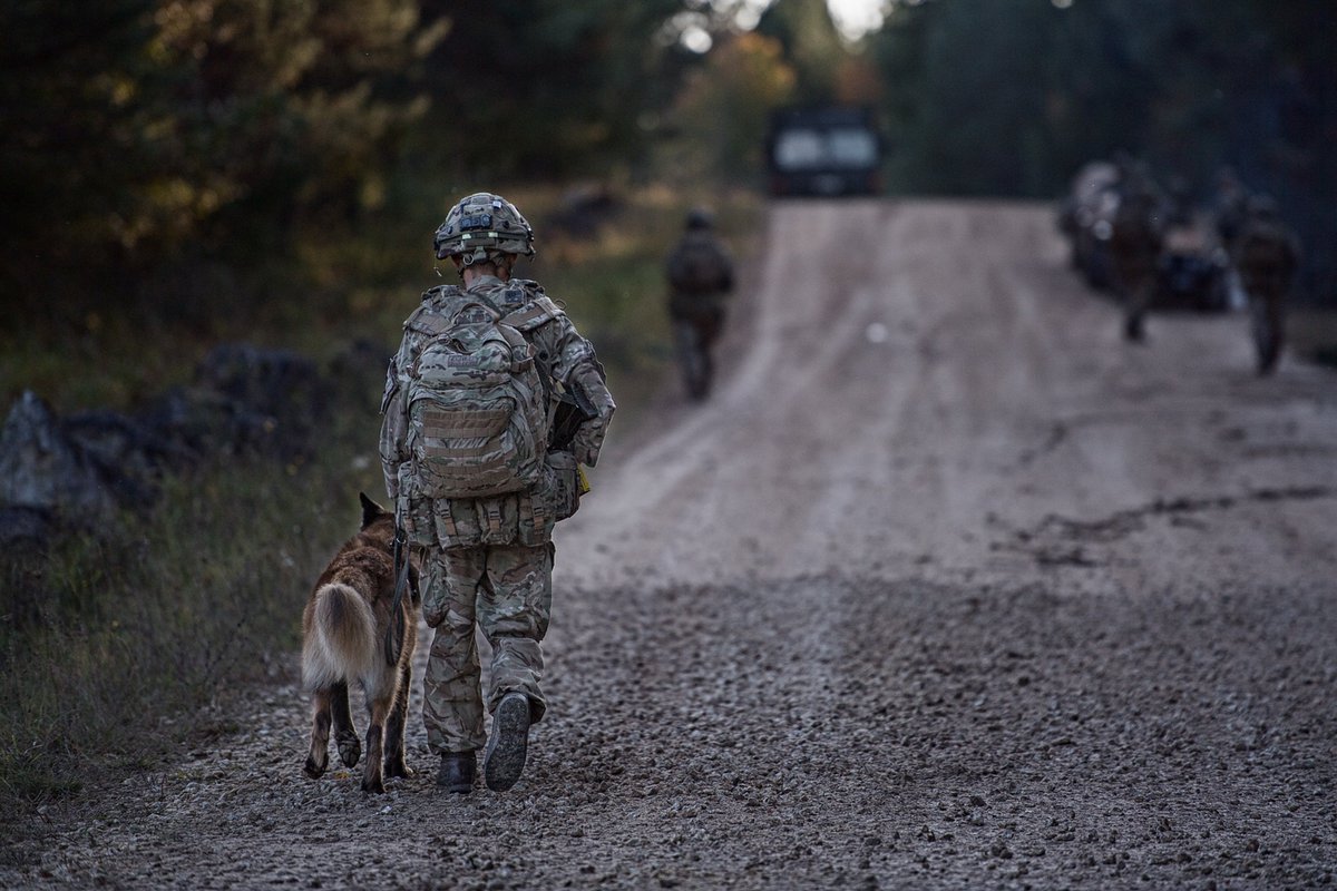 16AirAssltBCT's tweet photo. .@1MWD_Reg protection #dog Vinny adds deterrence & sub-lethal aggression - AKA bark & bite! - to a 2 PARA patrol on #SwiftResponse https://t.co/8JGksCkH6J