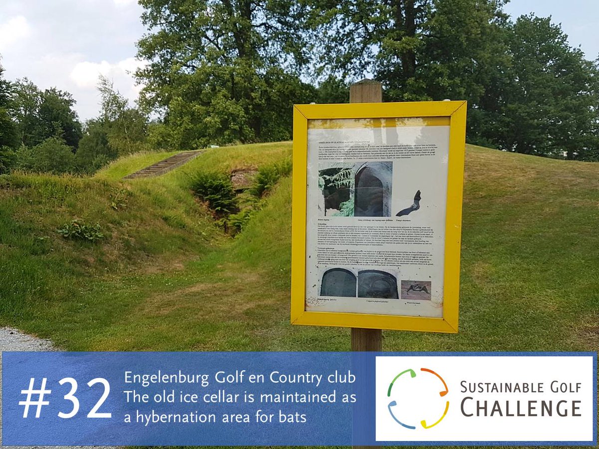 #bigyearchallenge #32: A former ice cellar at the golf course of <a href="/engelenburg_com/">Kasteel Engelenburg</a> is used by bats for hybernation #sustainablegolf