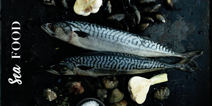 Fresh food from the ocean is rich in omega-3. Perfect match is #Junto White and Ocean Blue. View Sea Food: rosenthal.de/en/cms/special…