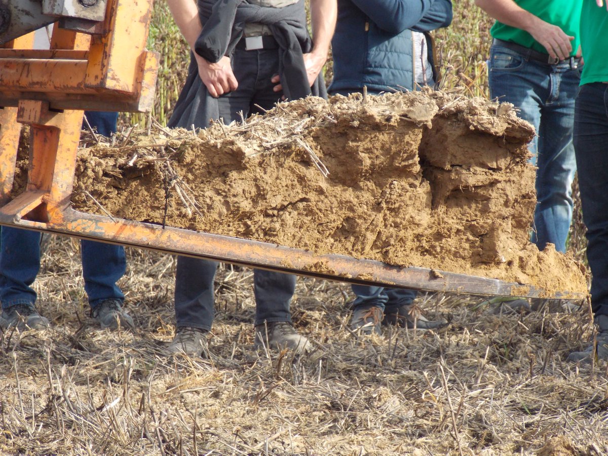 CoopBeton's tweet photo. Journée Conseil &amp; Démo au champ 👌🚜👨‍🌾 #AGRICULTUREDECONSERVATION #SOL3D #semisdirectsouscouvert @chambagri77 https://t.co/s73gnkqzuj