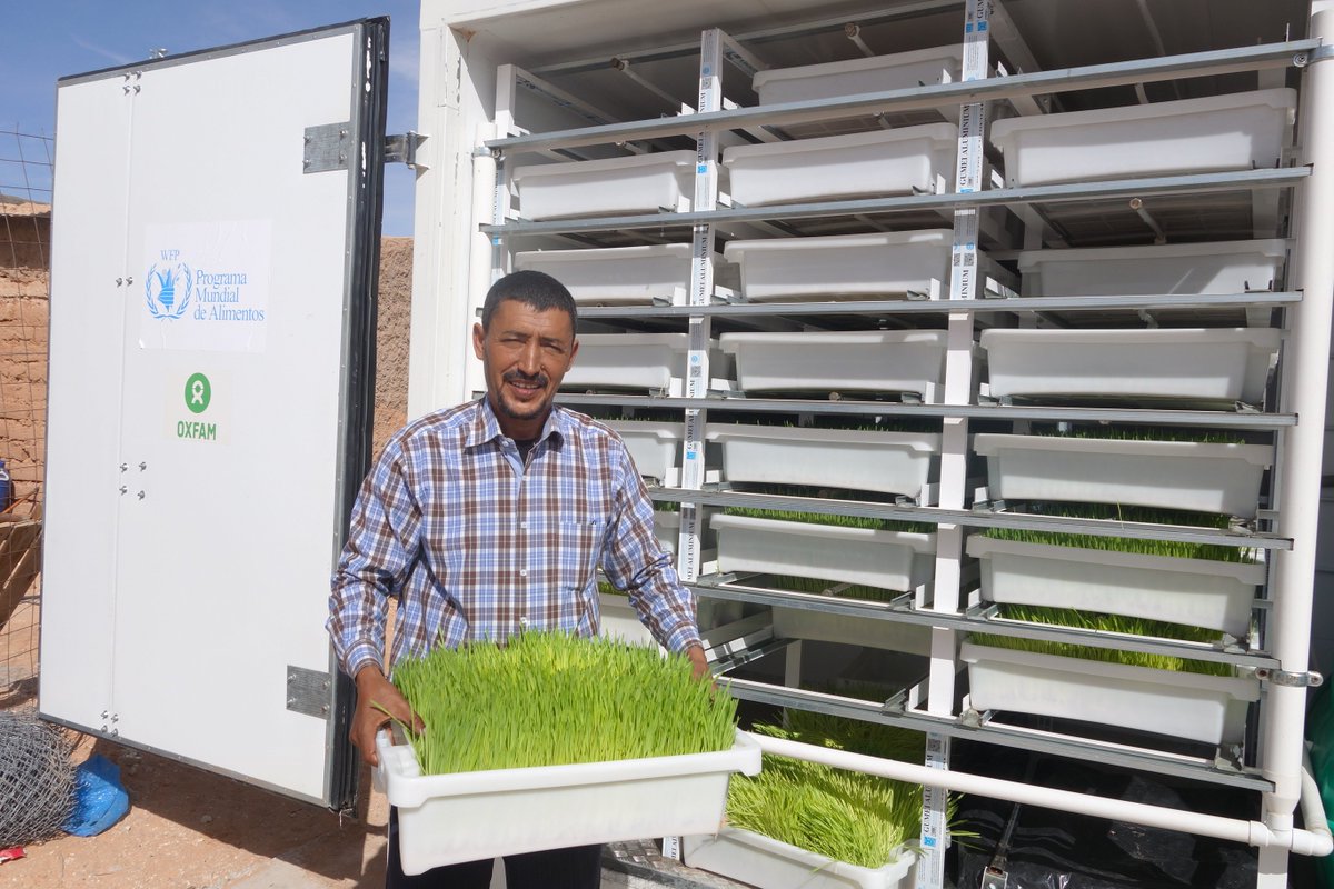 WFP's tweet photo. Growing food in the desert? See how hydroponics allows Sahrawi refugees to grow crops in #Algeria w/ 90% less water 🌱https://t.co/sJfAlsC5Gf https://t.co/jcAWnqYX1s