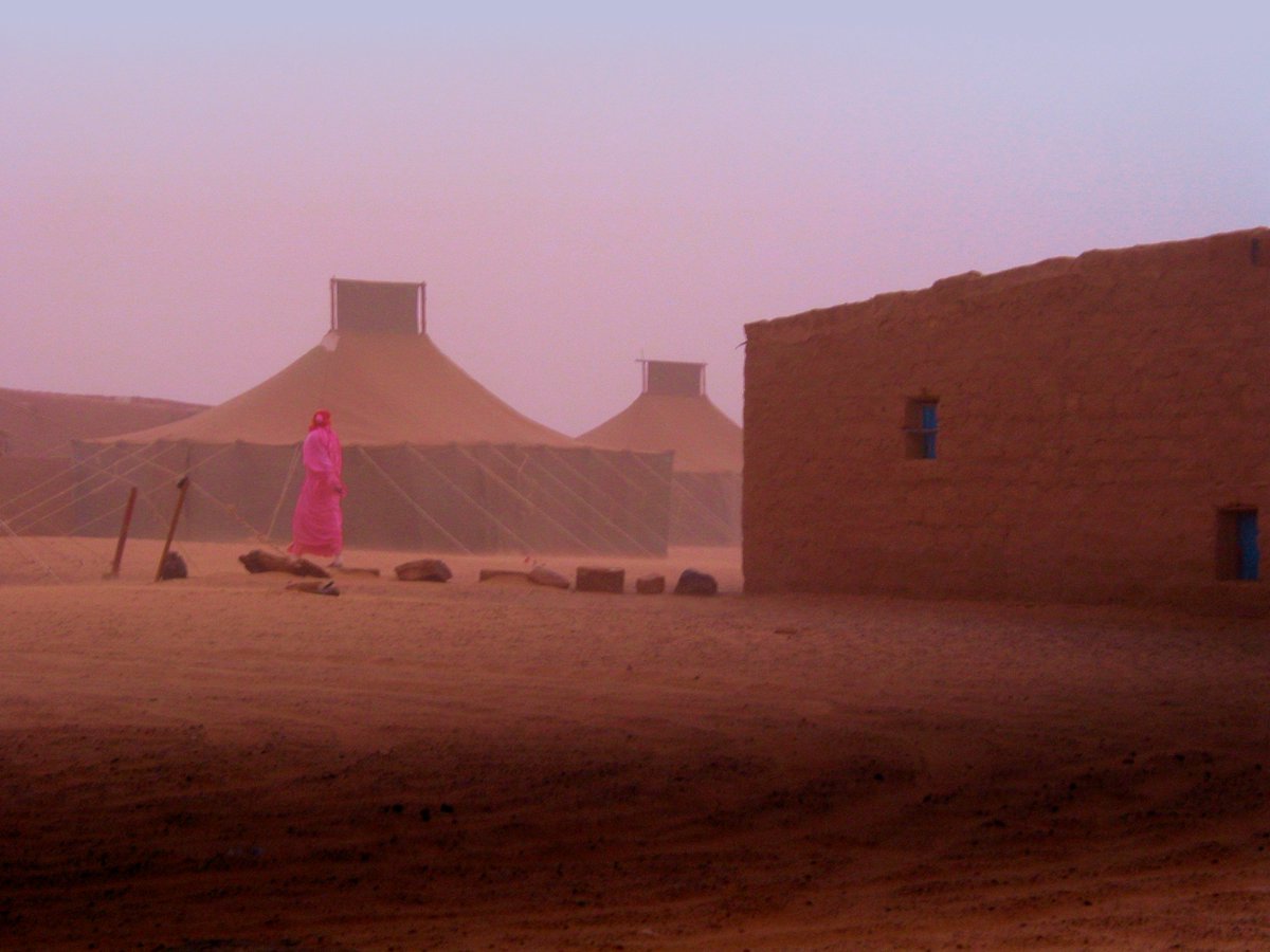 WFP's tweet photo. Growing food in the desert? See how hydroponics allows Sahrawi refugees to grow crops in #Algeria w/ 90% less water 🌱https://t.co/sJfAlsC5Gf https://t.co/jcAWnqYX1s