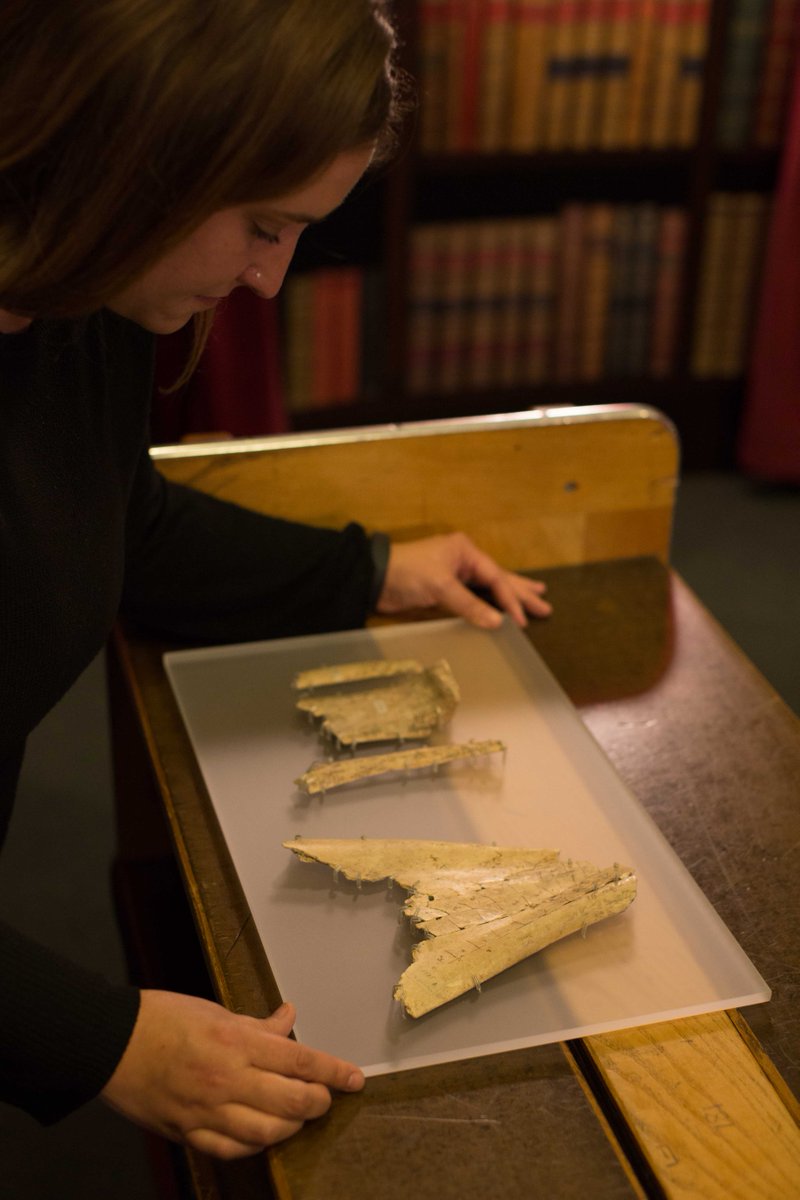 britishlibrary's tweet photo. Who else is counting down to our #BLHarryPotter exhibition? Before it opens tomorrow, here's a little look inside! https://t.co/M22xJgbQZx