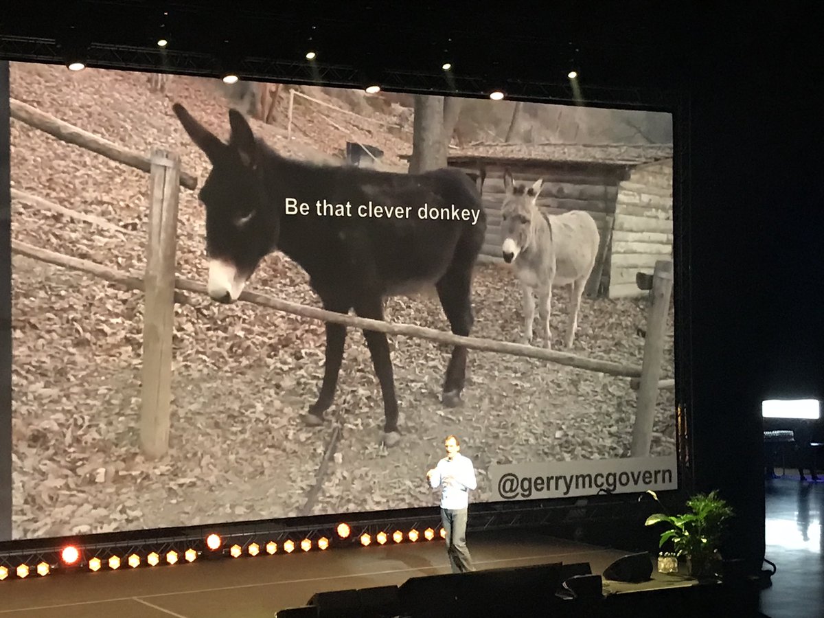 gedisius's tweet photo. #Webdagene are you clever 🐐? #donotbe 🐩 https://t.co/ZHdX5cuRkX