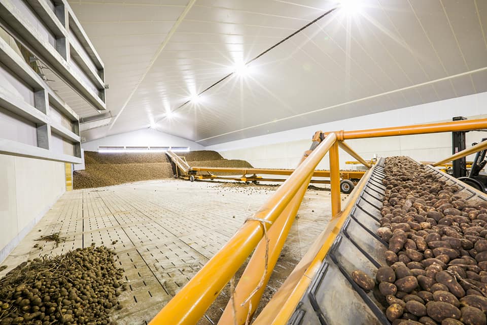 opticowzone's tweet photo. Naast de veehouderij zijn de VetSite LED lampen ook zeer geschikt voor bewaarloodsen. Zoals deze aardappelbewaarloods bij Van den borne aardappelen in Reusel🥔👌 https://t.co/hqSQLjaiHG
