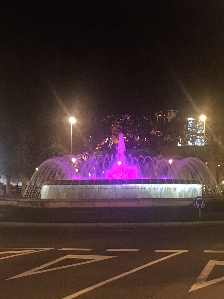 cucagamarra's tweet photo. #Logroño se suma al rosa en el Día Mundial contra el Cáncer de Mama.  @aeccLaRioja #TuLuchaEsMiLucha #SumateAlRosa https://t.co/F8wxYsfp2X
