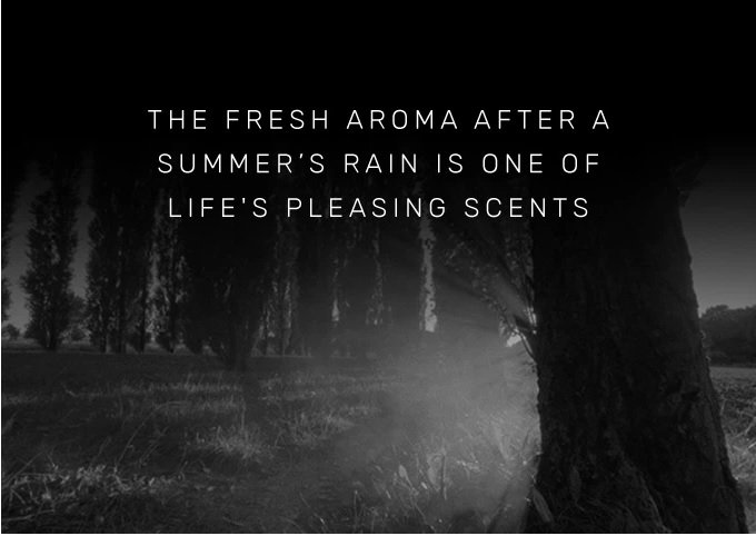 Gaaf initiatief! Nederlandse #startup wil einde maken aan binnenlucht en ontwikkelt buitenlucht-parfum: kickstarter.com/projects/camps… ~mh