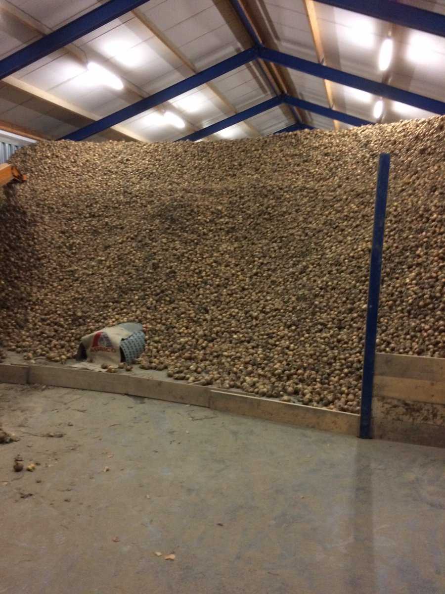 BoerHuizing's tweet photo. Uien achter de planken. Dwz wat er in paste. https://t.co/kbM5s4rhZx