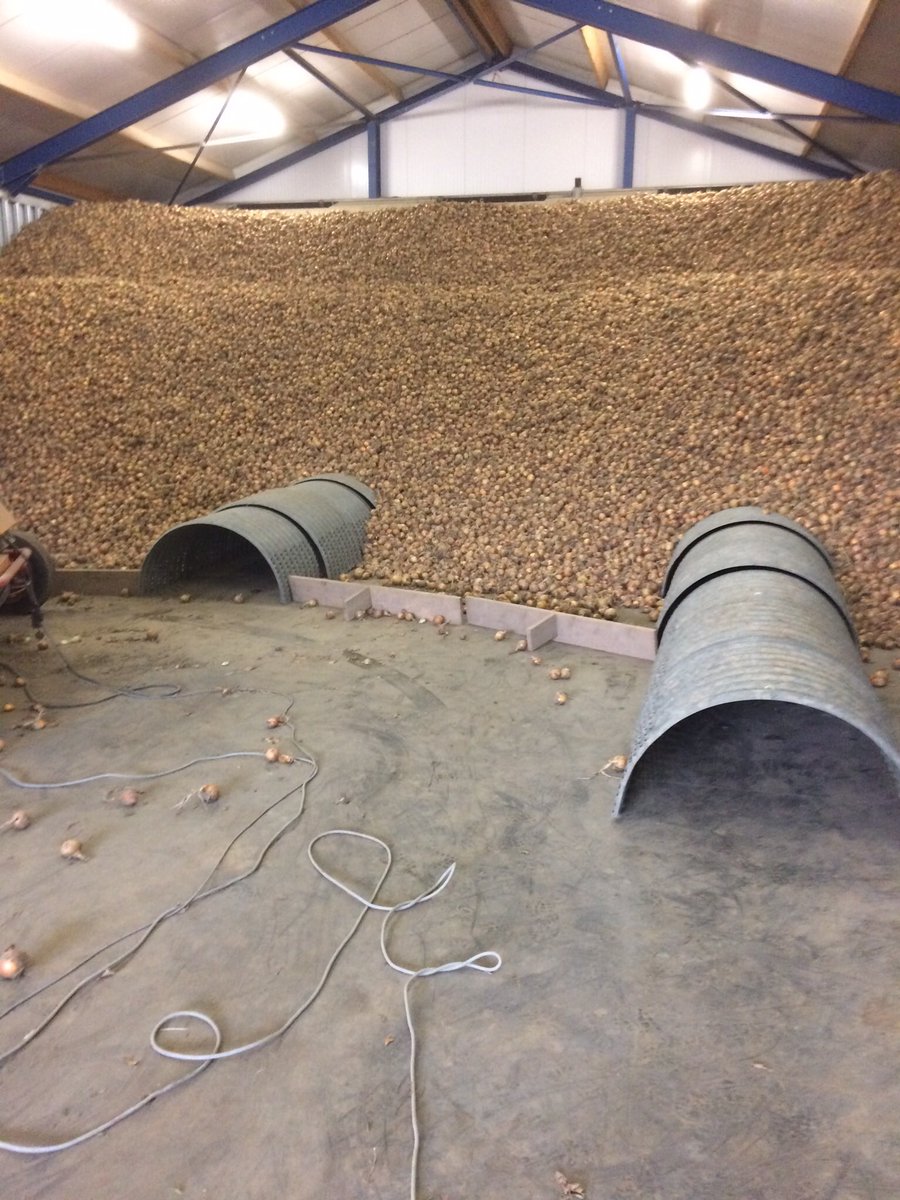 BoerHuizing's tweet photo. Uien achter de planken. Dwz wat er in paste. https://t.co/kbM5s4rhZx