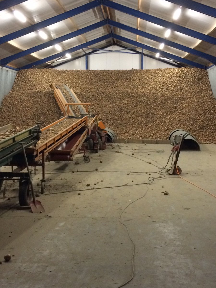 BoerHuizing's tweet photo. Uien achter de planken. Dwz wat er in paste. https://t.co/kbM5s4rhZx