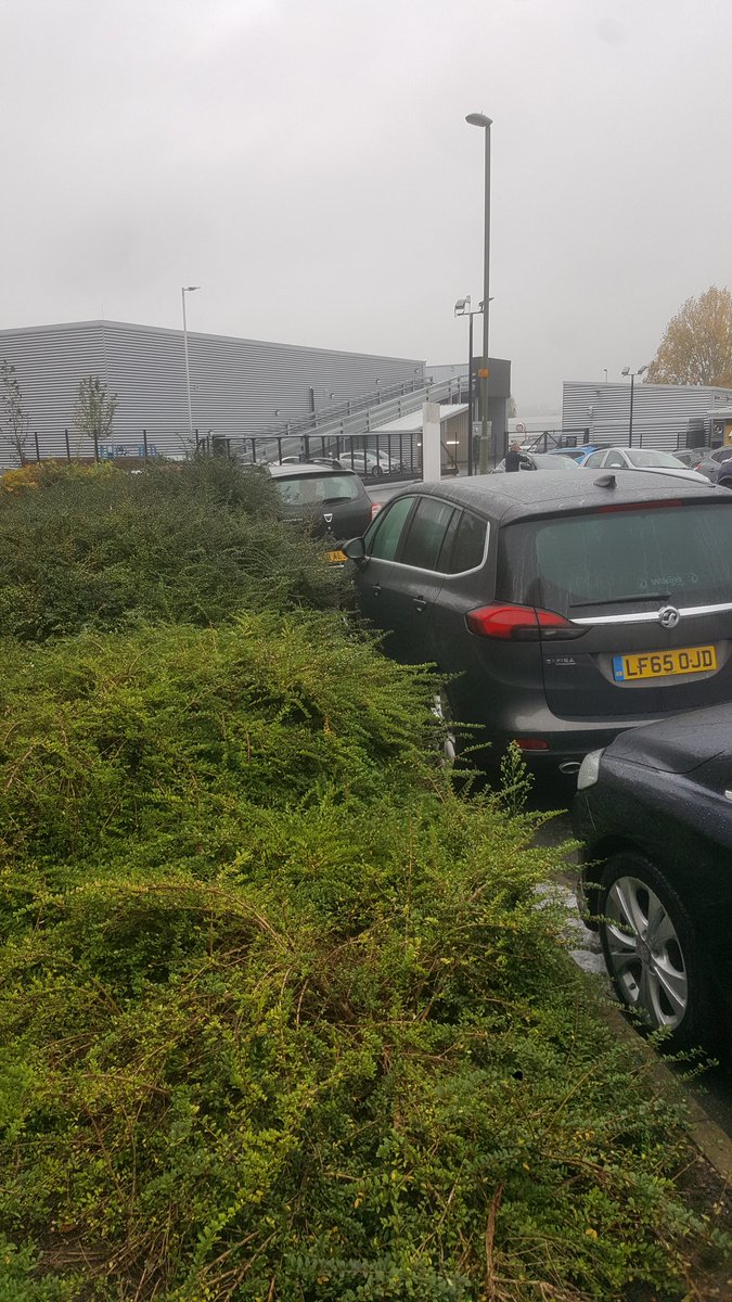 FillSimon's tweet image. Shrub reduction quotation done! Parking a real issue for us - got a solution now though. @mountfordp82 @GroundControlGC
