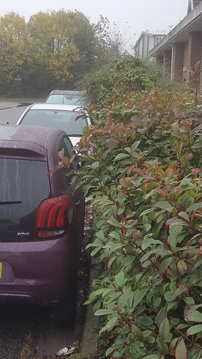 FillSimon's tweet image. Shrub reduction quotation done! Parking a real issue for us - got a solution now though. @mountfordp82 @GroundControlGC