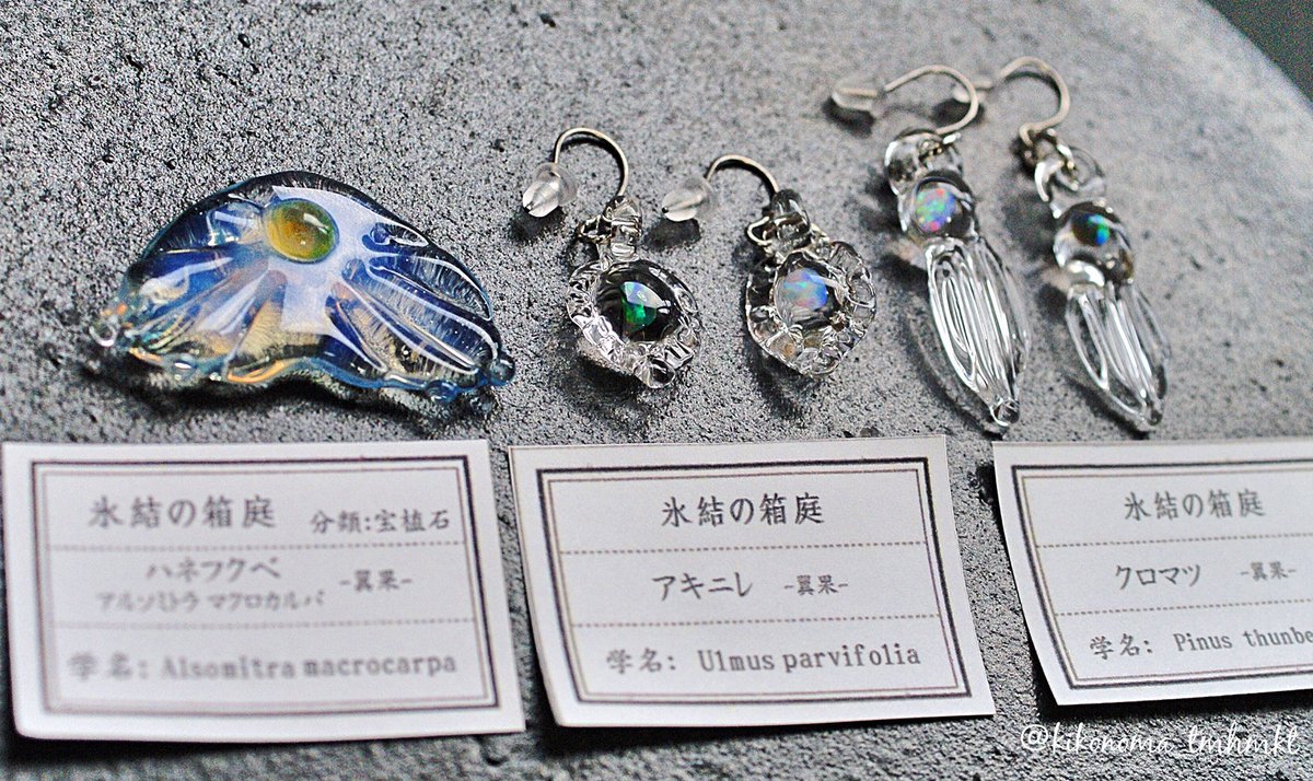 きこのま 新作お品書き 氷結の箱庭 翼果 空を自由に舞う 天空の踊り子 翼果と種子の宝植石 種 オパール アルソミトラ マクロカルパ アキニレ クロマツ フタバガキ ヤマノイモ ダケカンバ イロハモミジ トネリコバノカエデ きこのま 新作お品書き 氷結の箱庭 翼果 空を自由に舞う 天空の踊り子 翼果と種子の宝植石 種 オパール アルソミトラ マクロカルパ アキニレ クロマツ フタバガキ ヤマノイモ ダケカンバ イロハモミジ トネリコバノカエデ