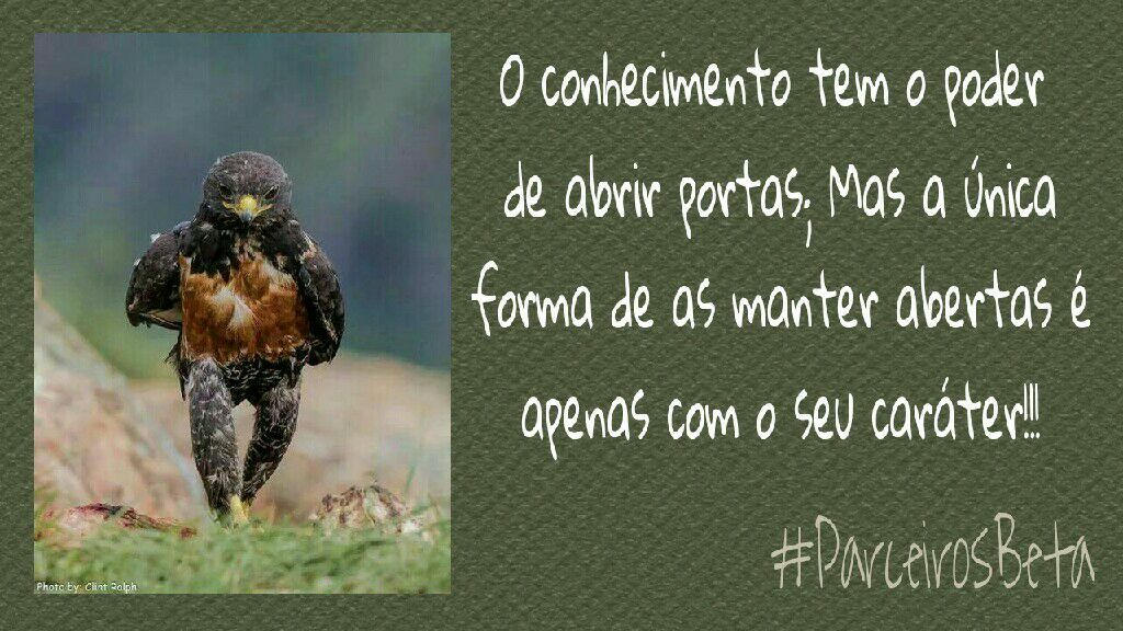 Guilherme Tim beta.. (@guilher60285399) on Twitter photo 