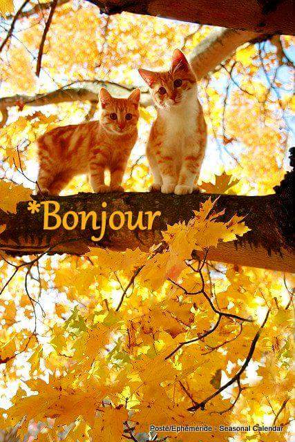 Mary_Zarifah's tweet photo. #Good_morning #Bonjour #Bonne_journée
#Happy_Thursday #Happy_day #19October2017
#صباح_الخير🌸🌸 #صباح_السعادة🌸🌸
#بنت_المسيح https://t.co/6asALrNd8Q