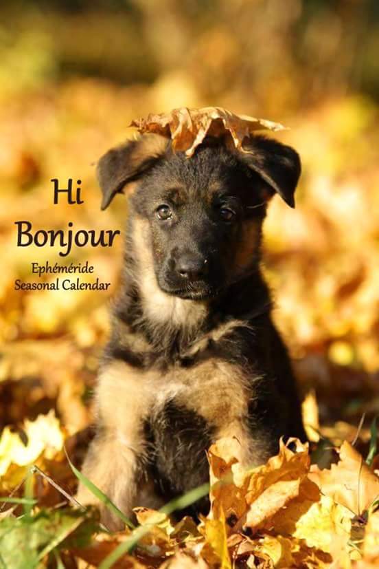 Mary_Zarifah's tweet photo. #Good_morning #Bonjour #Bonne_journée
#Happy_Thursday #Happy_day #19October2017
#صباح_الخير🌸🌸 #صباح_السعادة🌸🌸
#بنت_المسيح https://t.co/6asALrNd8Q
