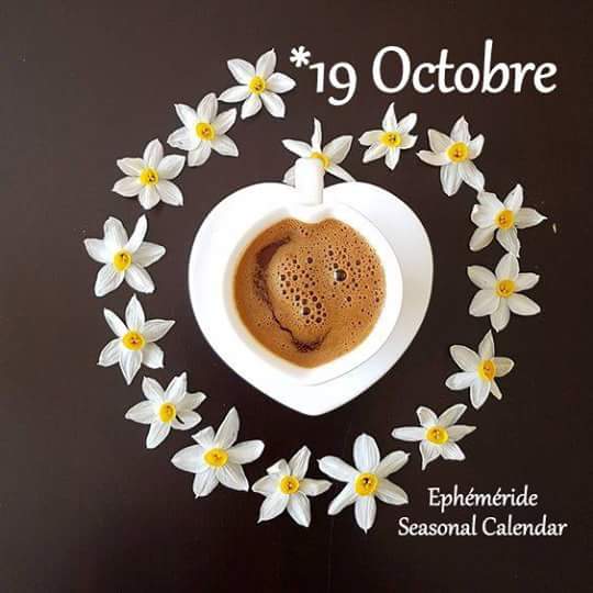Mary_Zarifah's tweet photo. #Good_morning #Bonjour #Bonne_journée
#Happy_Thursday #Happy_day #19October2017
#صباح_الخير🌸🌸 #صباح_السعادة🌸🌸
#بنت_المسيح https://t.co/yv5JXBAtl4