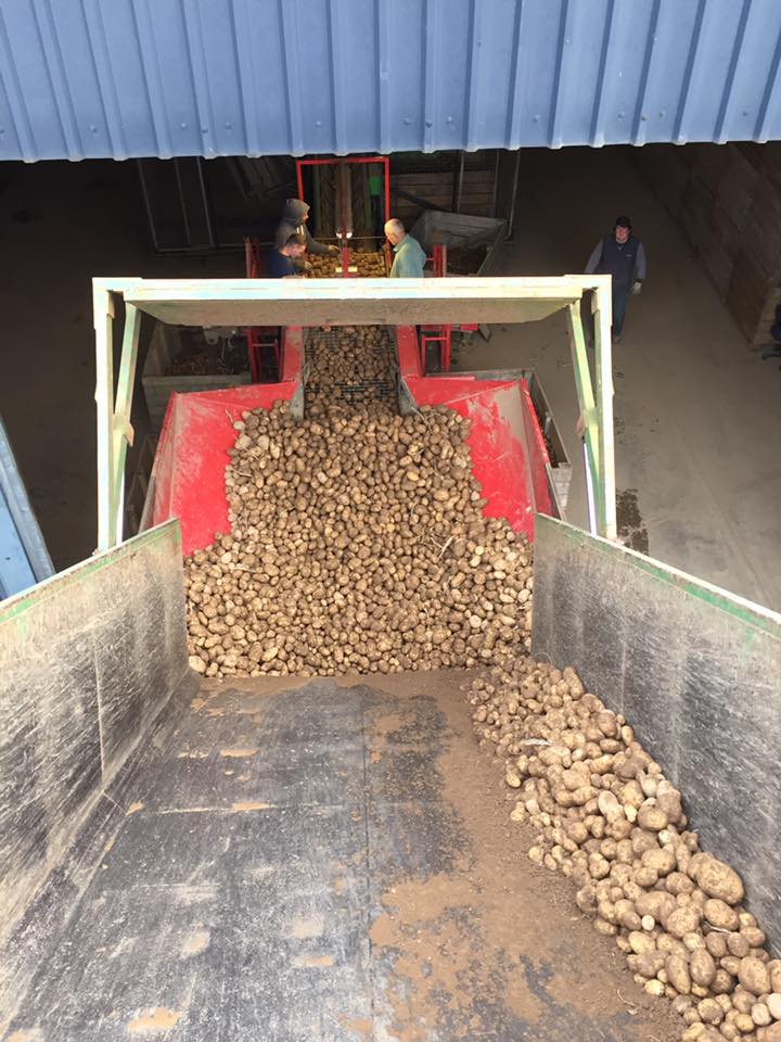 LucyAgiTrader's tweet photo. #ThursdayThoughts How much work goes into a bag of spuds.... #spuds #Potatoes #groundwork #planting #spraying #digging #grading #bagging 🚜🥔🍴 https://t.co/ksjSDWDJeb