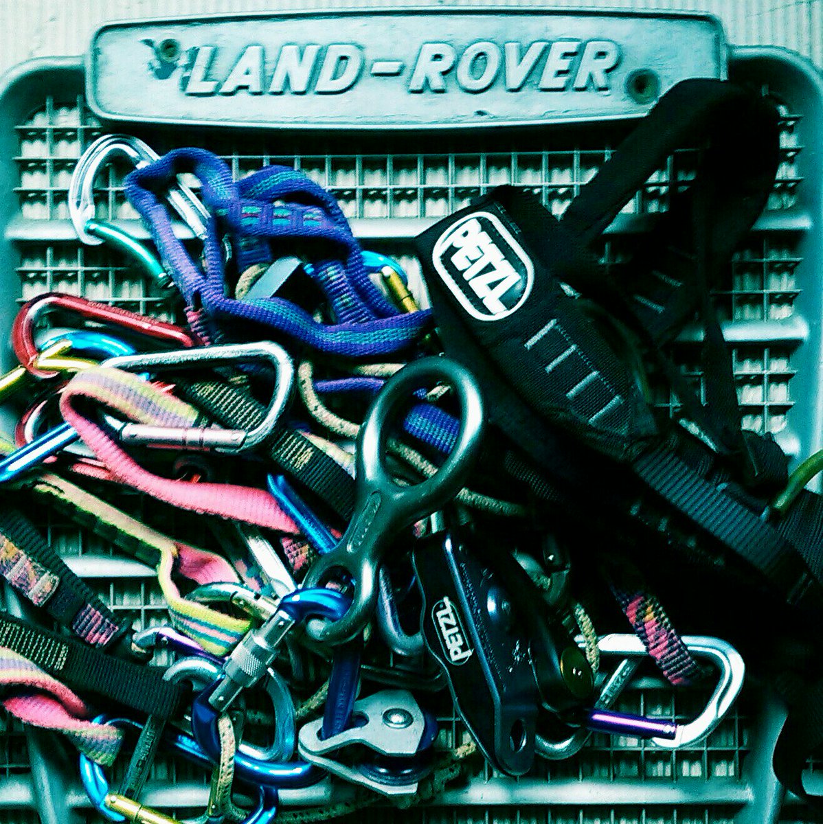 edigrade's tweet image. 