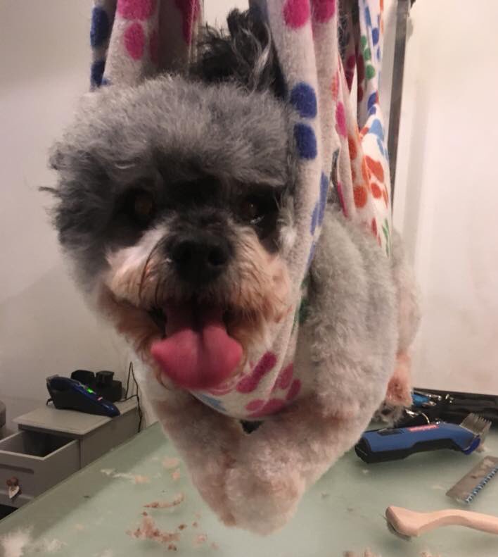 Sarah Wilson White On Twitter My Mum Just Sent Me This Pic Of