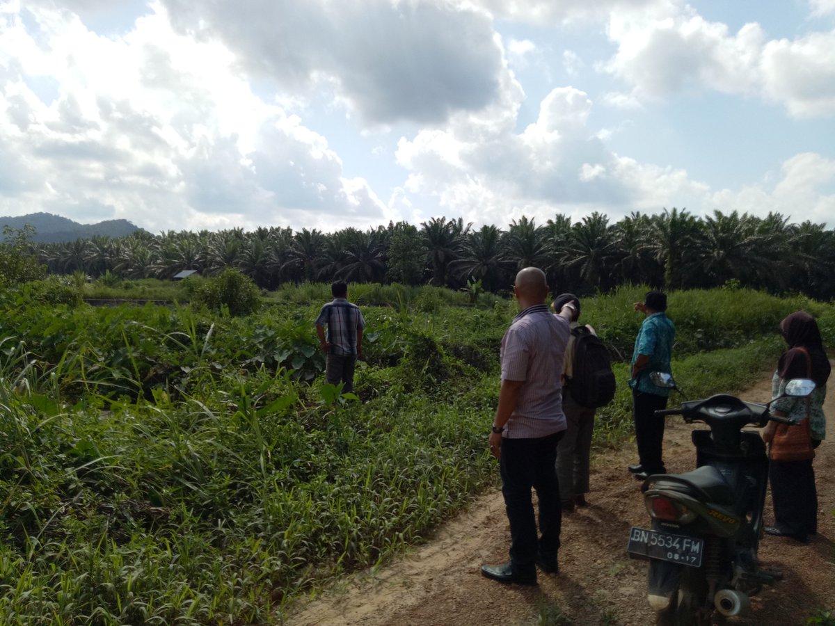 RhezhaLeboxs's tweet photo. Meninjau Lokasi Untuk Embung Desa
Sebagai #4ProgramPrioritasDesa
#BhaktiPendampingDesa
#provbabel
@jokowi
@EkoSandjojo
@taufikmadjid71 https://t.co/utwLp3lvVP